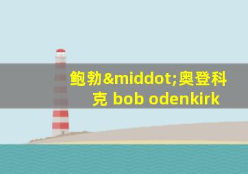 鲍勃·奥登科克 bob odenkirk